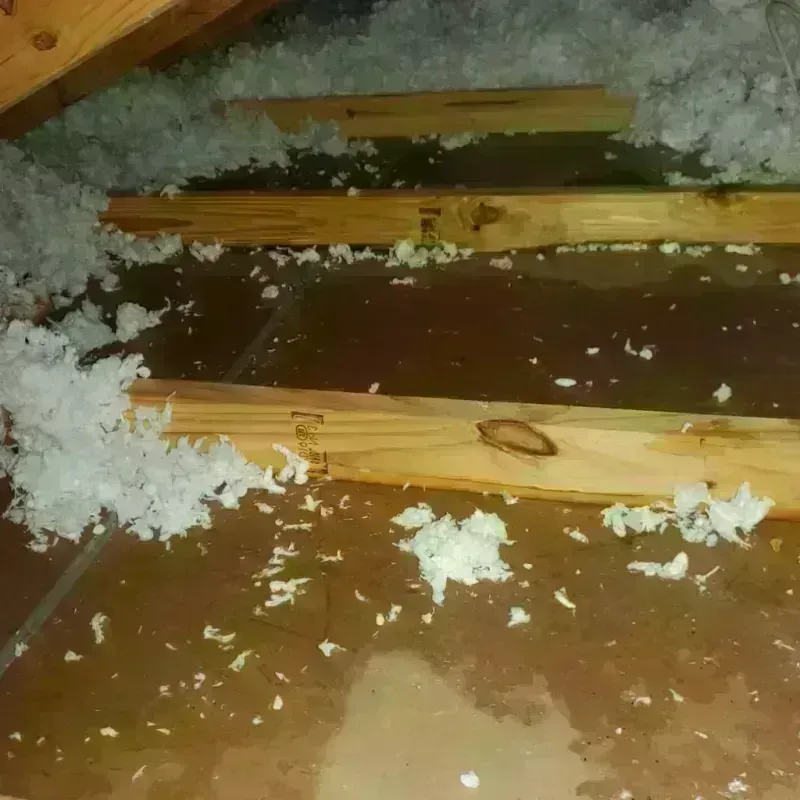 Attic Water Damage in New Castle, KY